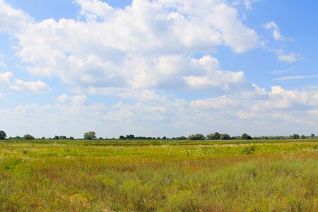 Wide meadow and blue sky. Summer landscapeの写真素材