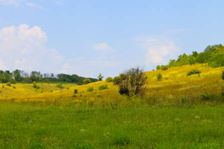 Summer landscape with meadow, trees and hillsの写真素材