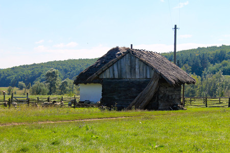 Sheep near the old barnの写真素材