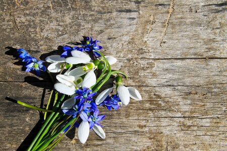 Bouquet of first spring flowers on rustic wooden backgroundの写真素材