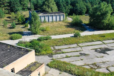Aerial view on the pine forest