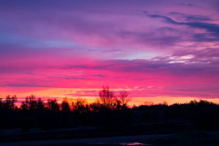 Bright sunrise over a treesの写真素材