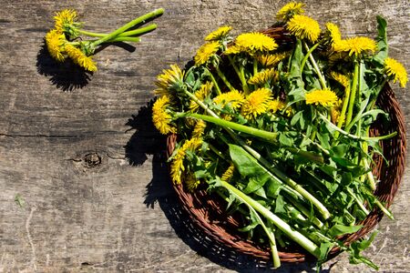 Yellow dandelion flowers in wicker basket on rustic wooden background. Top viewの写真素材