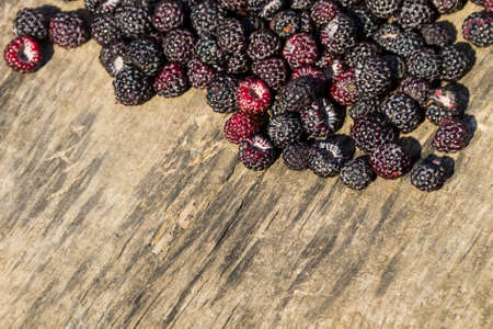 Blackberries on the rustic wooden background. Top view with copy space
