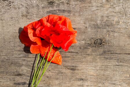 Red poppy flowers on wooden background. Top viewの写真素材