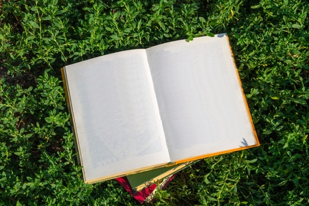 Open book with blank pages on green grassの写真素材