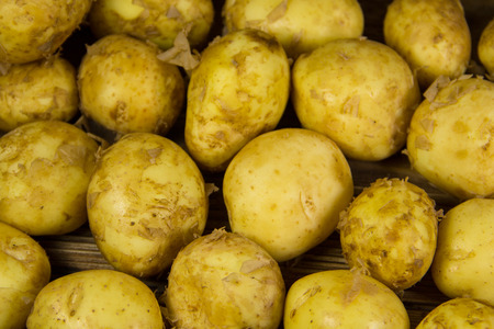 Raw new potato backgroundの写真素材