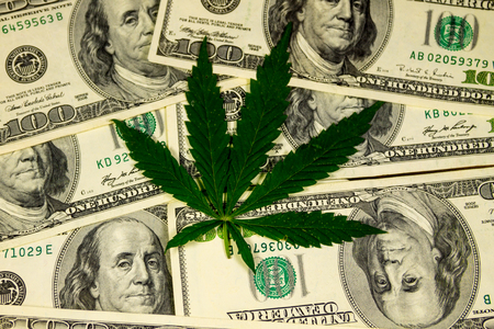 Cannabis leaf on heap of hundred dollar billsの写真素材