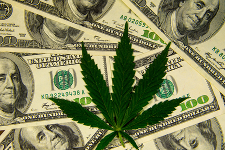 Cannabis leaf on heap of hundred dollar billsの写真素材