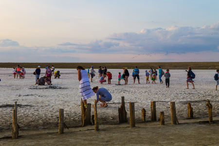 Genichesk, Ukraine - August 23, 2017: People gathering salt of pink salty Siwash Lake, colored by microalgae, famous for antioxidant properties, enriching water by beta-carotene at sunsetのeditorial素材