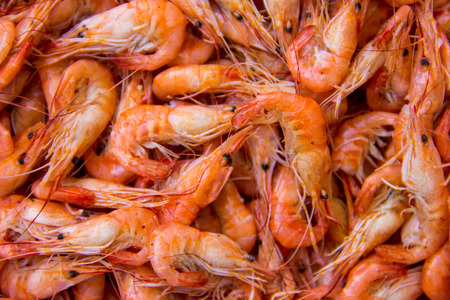 Close-up of boiled shrimps for backgroundの写真素材