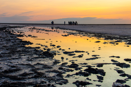 Pink salty Siwash Lake, colored by microalgae, famous for antioxidant properties, enriching water by...