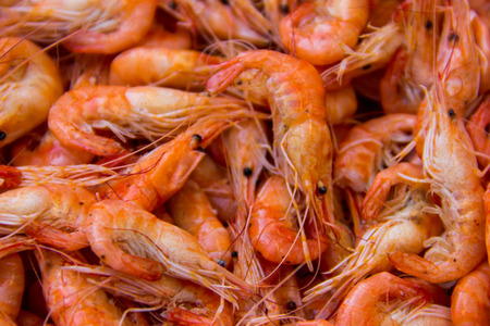 Close-up of boiled shrimps for backgroundの写真素材