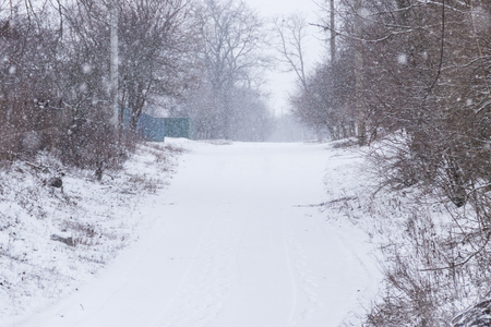 Snowy rural street during snowfallの写真素材