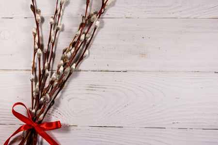 Pussy willow twigs on white wooden background. Top view, copy spaceの写真素材