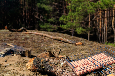 Sausages in barbecue grill near campfire ready for grillingの写真素材