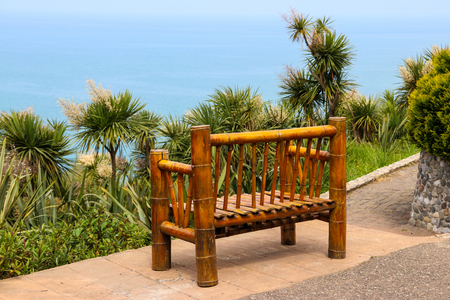 Bamboo bench in Batumi botanical garden, Georgiaの写真素材