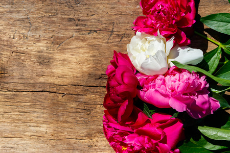 Beautiful peony flowers on rustic wooden background. Top view, copy spaceの写真素材