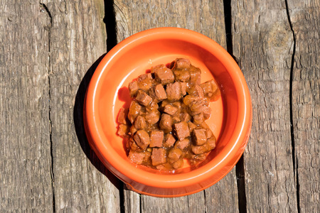 Canned food for cats or dogs in a orange plastic bowl on rustic wooden surfaceの写真素材