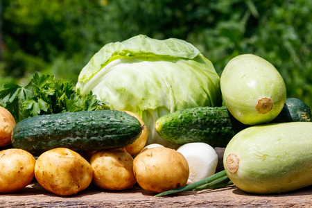 Fresh vegetables on rustic wooden table outdoor. Cabbage, cucumbers, parsley, new potatoes and onion on wood table on blurred backgroundの写真素材