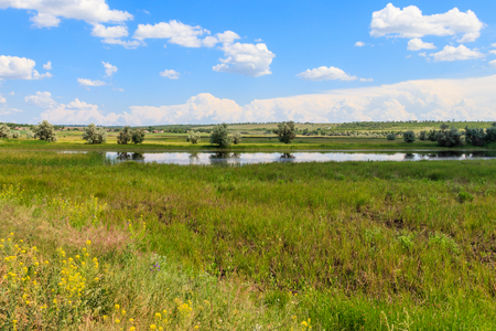 Summer landscape with small river and blue cloudy skyの写真素材