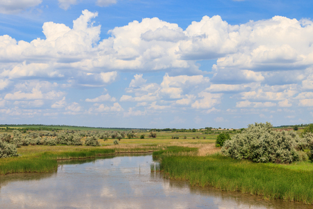Summer landscape with small river and blue cloudy skyの写真素材