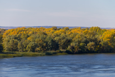 Colorful autumn trees on the riverfront. Fall landscape