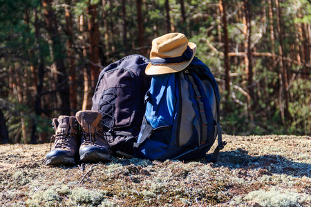 Two tourist backpacks, hiking boots and hat on the glade in pine forest. Hike conceptの写真素材
