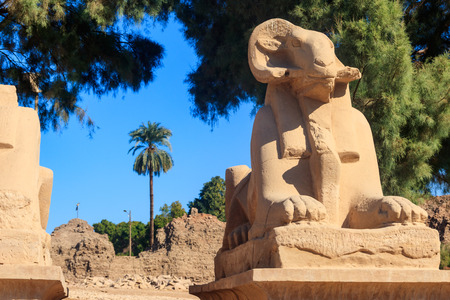 Alley of sphinxes at Karnak Temple Complex in Luxor, Egypt