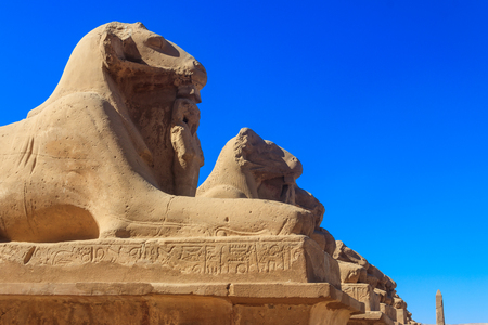 Alley of sphinxes at Karnak Temple Complex in Luxor, Egyptの写真素材