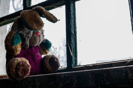 Old dirty stuffed toy rabbit on a windowsill in abandoned houseの写真素材