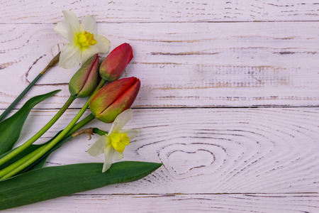 Bouquet of daffodils and red tulips on white wooden background. Greeting card for Easter,...
