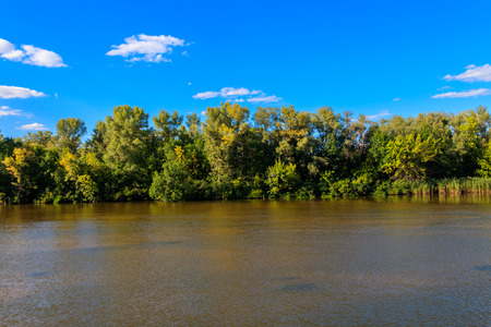 Summer landscape with beautiful river, green trees and blue sky