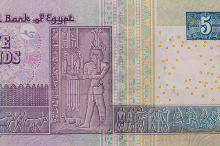 Macro shot of five egyptian pounds billの写真素材