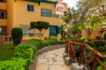 Pathway and landscape design with green trees and bushes in gardenの写真素材