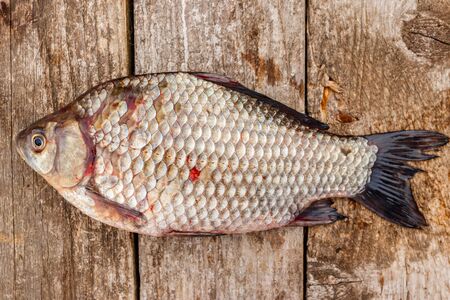 Fresh raw crucian on a rustic wooden table. Top view