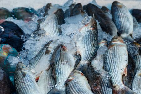 Fresh raw fish in fish marketの写真素材