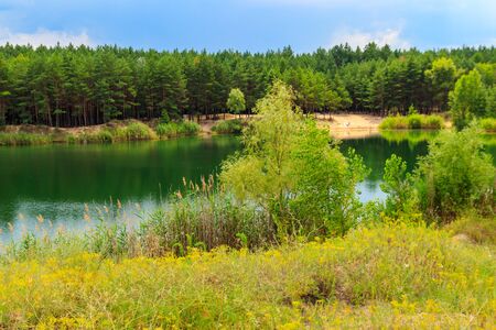 View of a beautiful lake in a pine forest at summerの写真素材