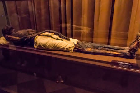 St. Petersburg, Russia - June 26, 2019: Ancient egyptian mummy in State Hermitage Museum, Saint Petersburg, Russiaのeditorial素材