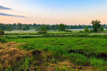 Summer landscape with green misty meadow, trees and sky. Fog on the grassland at morningの写真素材