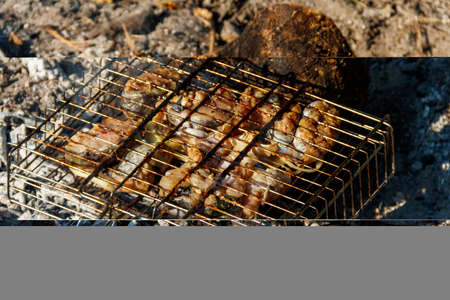 Grilling catfish slices in portable barbecue grill on campfire