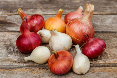 Various onion on a rustic wooden tableの写真素材