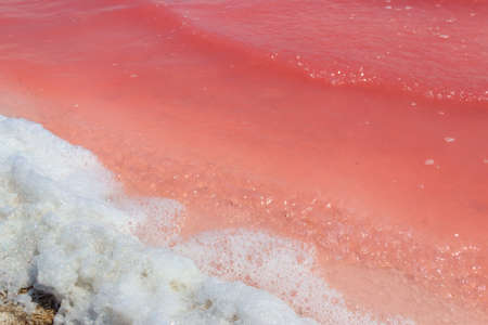 Surface of the pink salty Syvash lake in Kherson region, Ukraine. Natural background, textureの写真素材