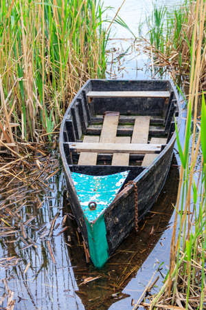 Old wooden boat in the reed on the riverbankの写真素材