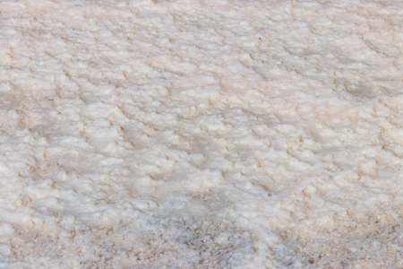 Natural salt crystal texture, macro, close-up. Salty lake shore backgroundの写真素材