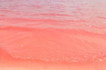 Surface of the pink salty Syvash lake in Kherson region, Ukraine. Natural background, textureの写真素材