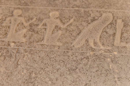 Ancient egyptian hieroglyphs carved on the stone wall