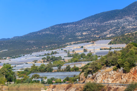 Greenhouses for growing vegetables in Antalya province, Turkeyの写真素材