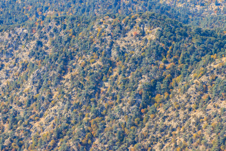 Aerial view of the coniferous forest in the Taurus mountains, Turkeyの写真素材