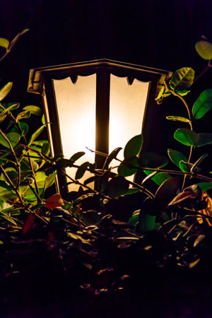Lighted vintage street lantern at nightの写真素材